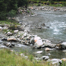 Alpe Gafluna 3_8_2011 _89__JPG-1312410606