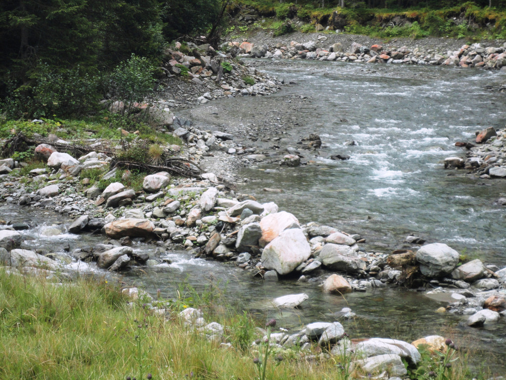 Alpe Gafluna 3_8_2011 _89__JPG-1312410606