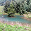 Alpe Gafluna 3_8_2011 _94__JPG-1312410699
