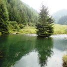 Alpe Gafluna 3_8_2011 _104__JPG-1312410900
