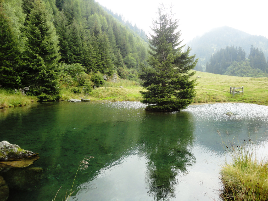 Alpe Gafluna 3_8_2011 _104__JPG-1312410900