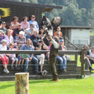 DSCN6427_JPG-1312447000