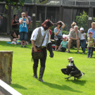 DSCN6483_JPG-1312447126