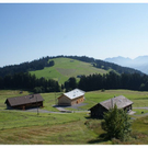 DSC03145.JPG