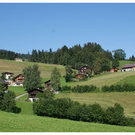 DSC03160.JPG