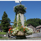 DSC03163.JPG
