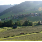 DSC04500 Kopie.jpg