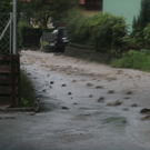 IMG_9879.JPG