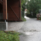 IMG_9915.JPG