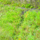 normal_04082011vuradstadtmbaktivnews003.jpg