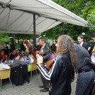 112_2469_JPG-1312538409