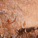DAB3445-20100806.jpg