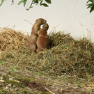 IMG_8839.JPG
