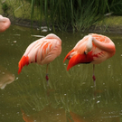 IMG_8853.JPG