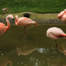 IMG_8854.JPG