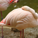 IMG_8856.JPG