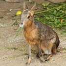 IMG_8888.JPG