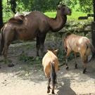 IMG_8956.JPG