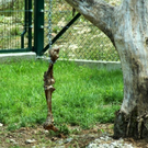 IMG_8999.JPG