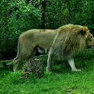IMG_9000.JPG