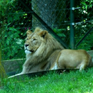 IMG_9006.JPG