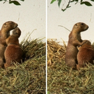 zoo kuschel.jpg
