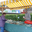 044_bearbeitet-1_jpg-1312607052