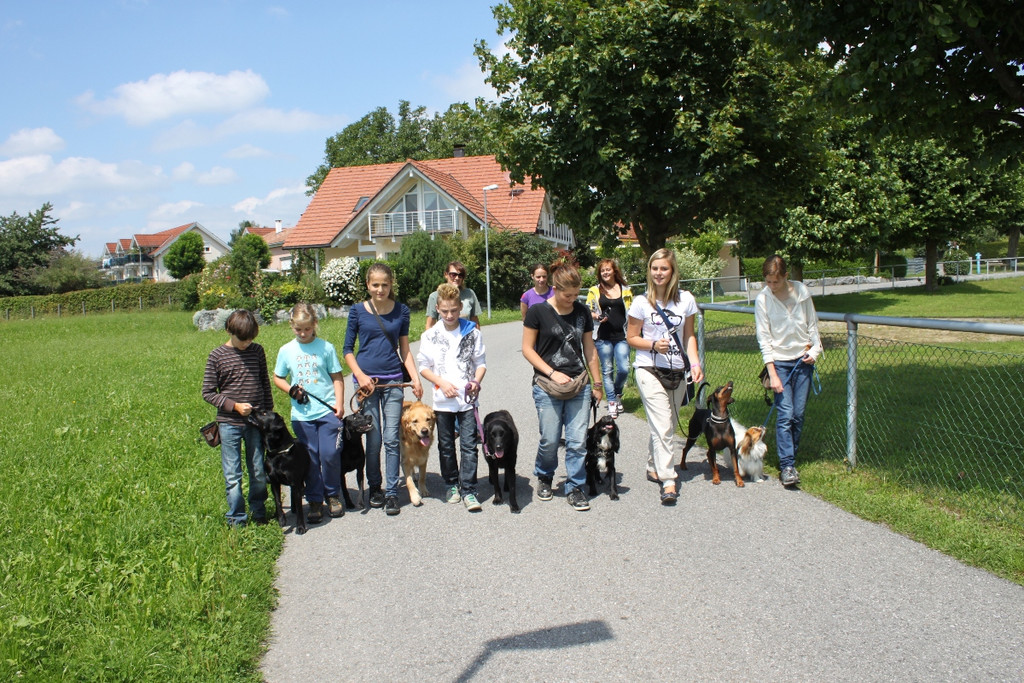 Hundesitter Kurs 2011 _3__jpg-1312643833