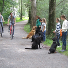 Hundesitter Kurs 2011 _6__JPG-1312643844