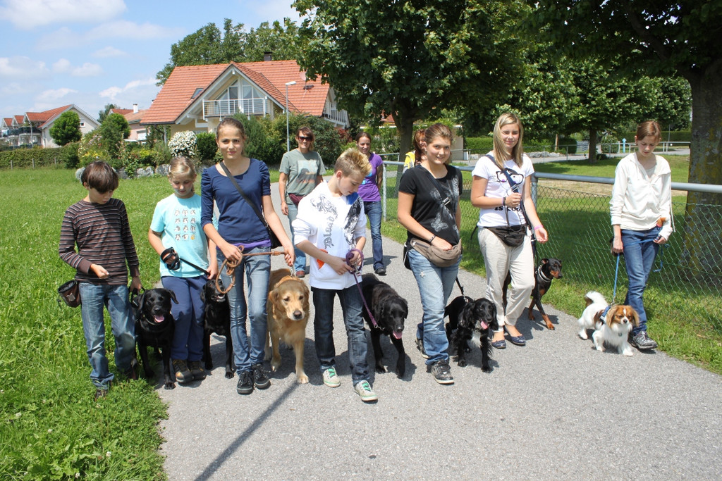Hundesitter Kurs 2011 _12__jpg-1312643867