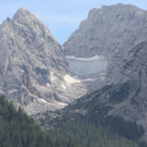 normal_IMG_2950.JPG