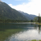 normal_IMG_3061.JPG