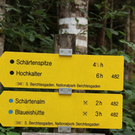 normal_IMG_3125.JPG