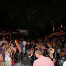 normal_06082011fmt_walserdorffest_fm_054.jpg