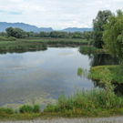 Dammerle 06_08_2011 102_jpg-1312719325