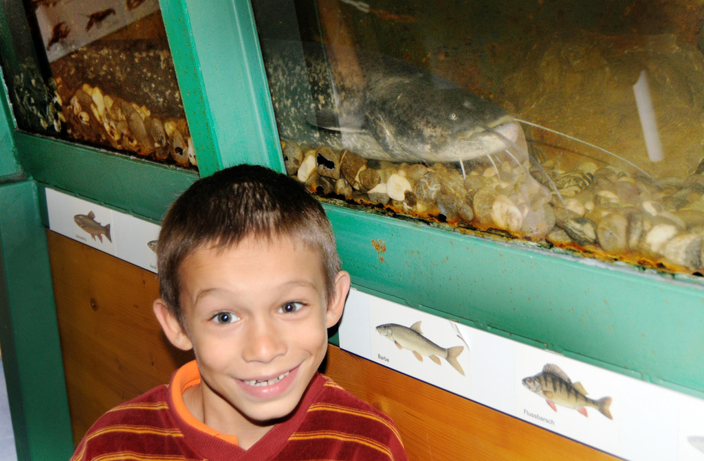 Dammerle 06_08_2011 29_jpg-1312720193