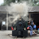 Dammerle 06_08_2011 42_jpg-1312720215