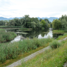 Dammerle 06_08_2011 105_jpg-1312720322