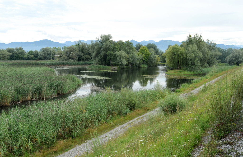 Dammerle 06_08_2011 105_jpg-1312720322