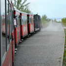 Dammerle 06_08_2011 116_jpg-1312720341