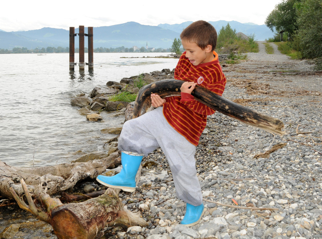 Dammerle 06_08_2011 185_jpg-1312720483