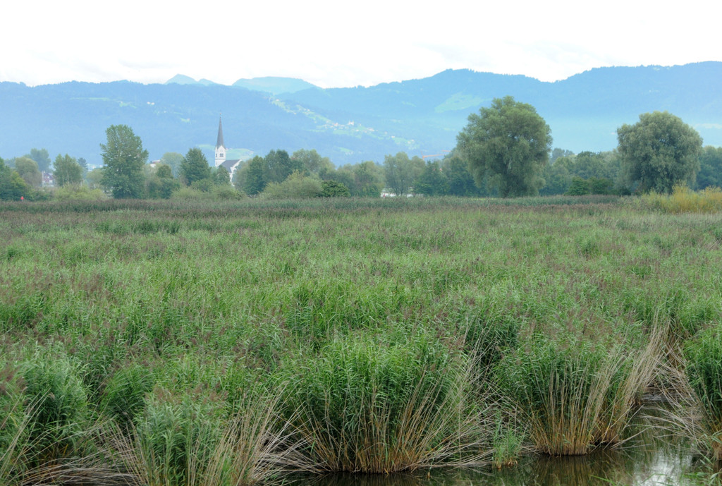 Dammerle 06_08_2011 199_jpg-1312720512