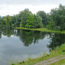 Dammerle 06_08_2011 201_jpg-1312720551