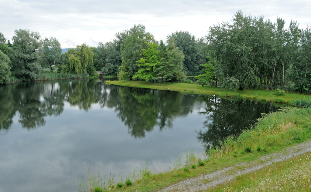 Dammerle 06_08_2011 201_jpg-1312720551