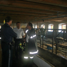 Bilder vom Stall-Brand