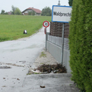 normal_070811wallerseegaaktivnews_0003.jpg