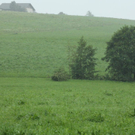 normal_070811wallerseegaaktivnews_0020.jpg