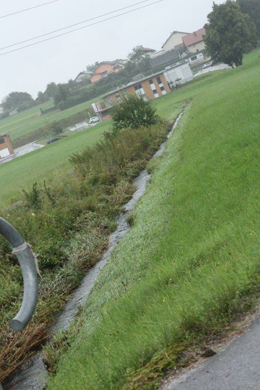 normal_070811wallerseegaaktivnews_0033.jpg