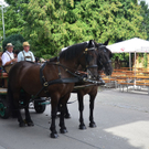 06082011dorffestswaktivnews_043.jpg