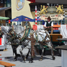 06082011dorffestswaktivnews_020.jpg